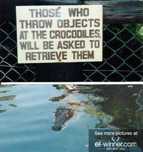 Thrown to crocodiles will be asked to retrieve
